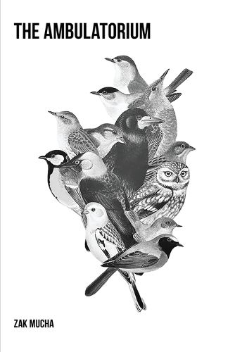 Cover image for The Ambulatorium