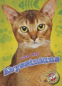 Cover image for Abyssinians