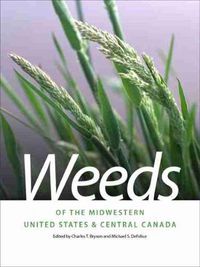 Cover image for Weeds of the Midwestern United States and Central Canada