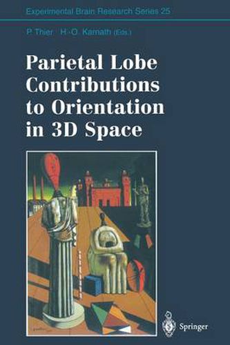 Cover image for Parietal Lobe Contributions to Orientation in 3D Space