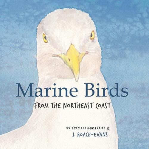 Cover image for Marine Birds: from the Northeast Coast