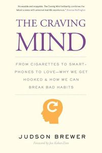Cover image for The Craving Mind: From Cigarettes to Smartphones to Love - Why We Get Hooked and How We Can Break Bad Habits