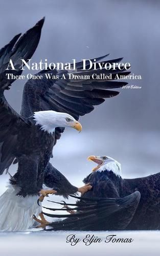 Cover image for A National Divorce