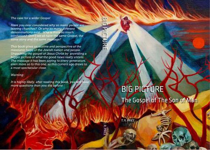 Cover image for Big Picture