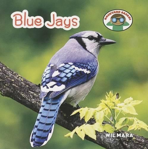 Cover image for Blue Jays