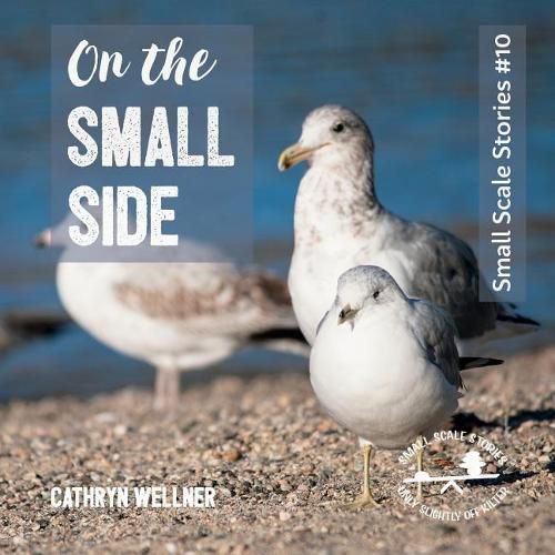 Cover image for On the Small Side