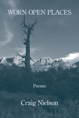 Cover image for Worn Open Places