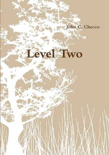 Cover image for Level Two