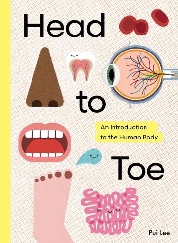Cover image for Head to Toe