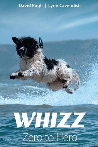 Cover image for Whizz