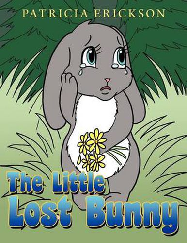 Cover image for The Little Lost Bunny