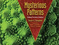 Cover image for Mysterious Patterns: Finding Fractals in Nature