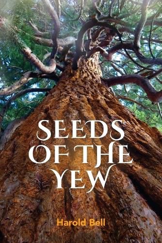 Cover image for Seeds of the Yew