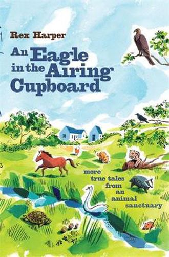 Cover image for An Eagle in the Airing Cupboard