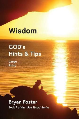 Cover image for Wisdom: GOD's Hints and Tips