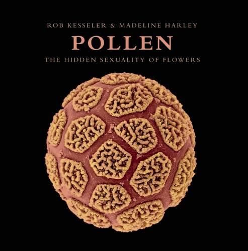 Cover image for Pollen: The Hidden Sexuality of Flowers