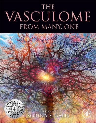 Cover image for The Vasculome: From Many, One