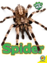 Cover image for Spider