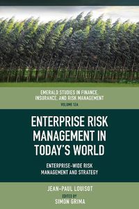 Cover image for Enterprise Risk Management in Today's World