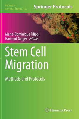 Cover image for Stem Cell Migration: Methods and Protocols