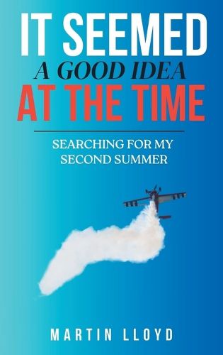 Cover image for It Seemed A Good Idea At The Time