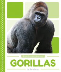 Cover image for Rain Forest Animals: Gorillas