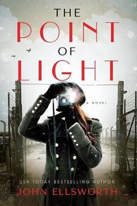 Cover image for The Point of Light