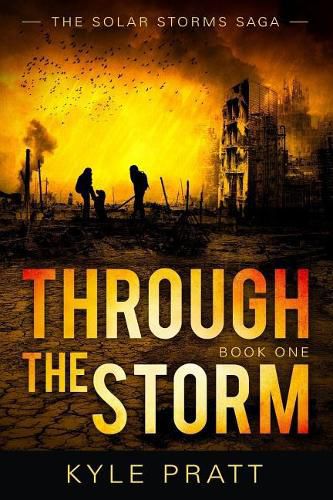 Cover image for Through the Storm