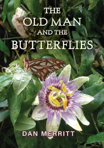 Cover image for The Old Man and the Butterflies