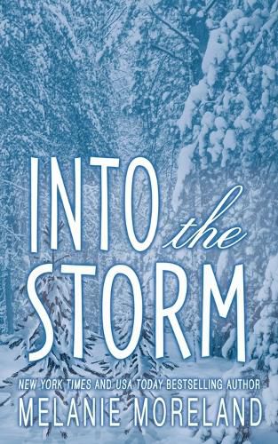 Cover image for Into The Storm