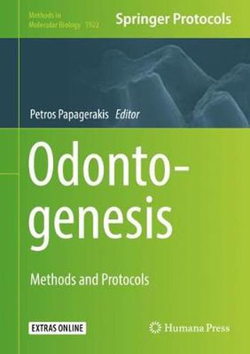 Cover image for Odontogenesis: Methods and Protocols