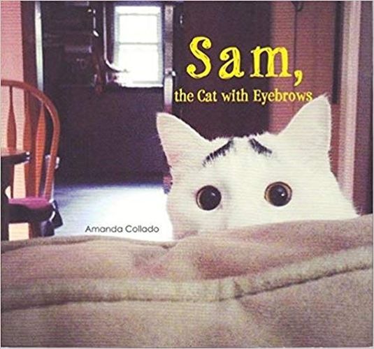 Cover image for Sam, the Cat with Eyebrows