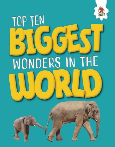 Cover image for Top Ten Biggest Wonders in the World