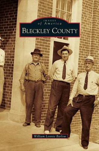 Cover image for Bleckley County