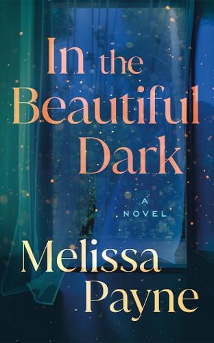 Cover image for In the Beautiful Dark