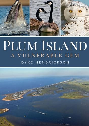 Cover image for Plum Island: A Vulnerable Gem