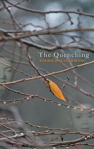 Cover image for The Quenching