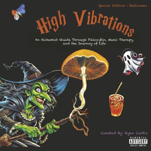 Cover image for High Vibrations