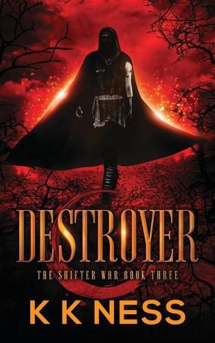 Cover image for Destroyer