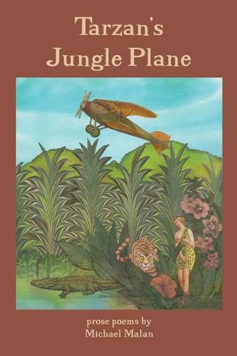 Cover image for Tarzan's Jungle Plane