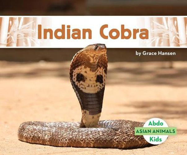 Cover image for Indian Cobra