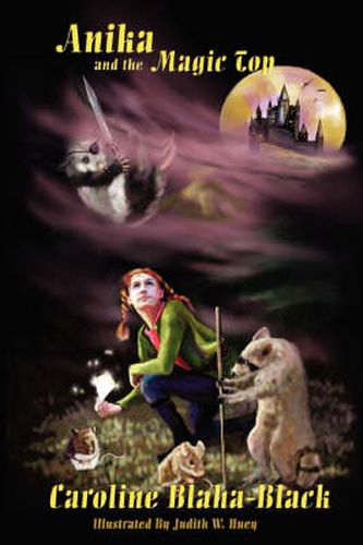 Cover image for Anika and the Magic Top