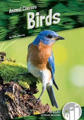 Cover image for Birds