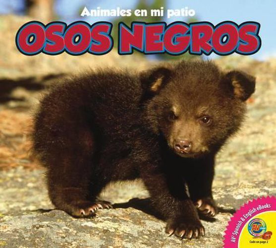 Cover image for Osos Negros