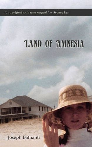 Cover image for Land of Amnesia