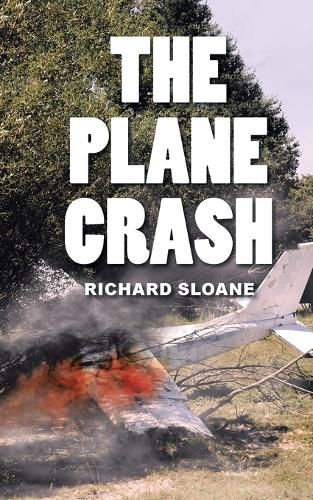 Cover image for The Plane Crash