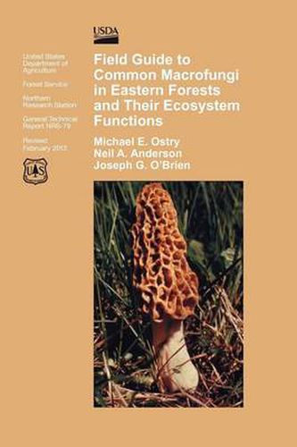 Cover image for Field Guide to Common Macrofungi in Eastern Forests and Their Ecosystem Function