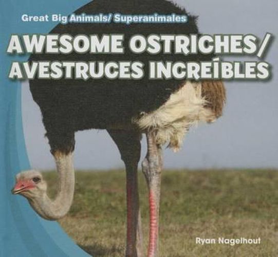 Awesome Ostriches/Avestruces Increibles