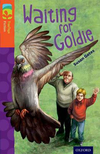 Cover image for Oxford Reading Tree TreeTops Fiction: Level 13: Waiting for Goldie