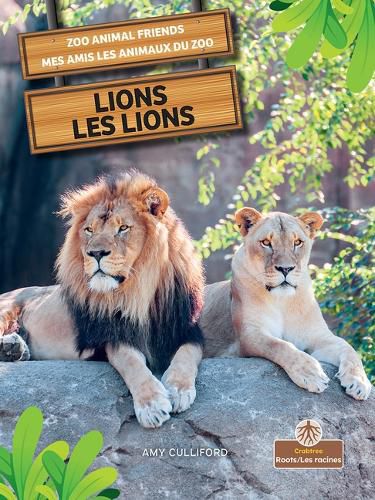 Cover image for Les Lions (Lions) Bilingual Eng/Fre